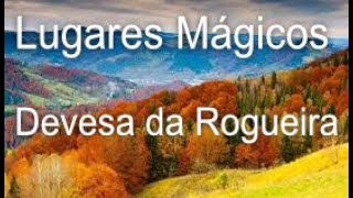 Lugares mágicos la joya botánica de La Devesa Da Rogueira Parte II
