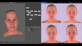 Blendshapes for 3D scan Wealth