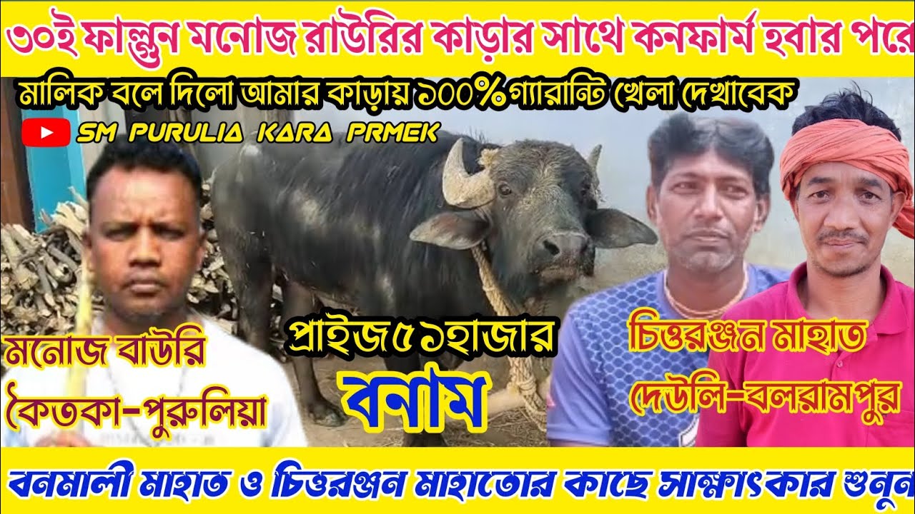  মনোজ বাউরি কাড়ার সাথে জোড়া করে মালিকের ঝাঁজালো বক্তব্য!বনমালী ও চিত্তরঞ্জন কাছে সাক্ষাৎকার শুনুন 