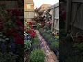 🌿 Garden Transformation: From Wasteland to Paradise! ✨ #timelapse #ai #archilapse #aishorts