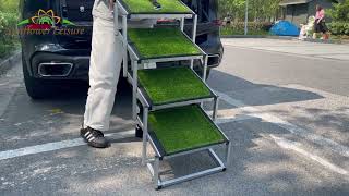 More Than Chairs: Complete Pet Product Solutions