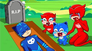 What Happened To Catboy ? - Catboy's Life Story - PJ MASKS 2D Animation