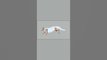 Jasper Cat Run Cycle #animation #art