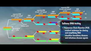 OralDNA Salivary Diagnostic Aids