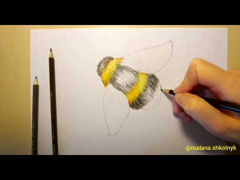 Vidéo: Comment Dessiner Un Bourdon