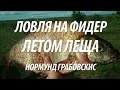 ЛЕТНЯЯ РЫБАЛКА НА ТЯЖЕЛЫЙ ФИДЕР С НОРМУНДОМ ГРАБОВСКИСОМ НА ЛЕЩА, ПОДЛЕЩИКА, ГУСТЕРУ