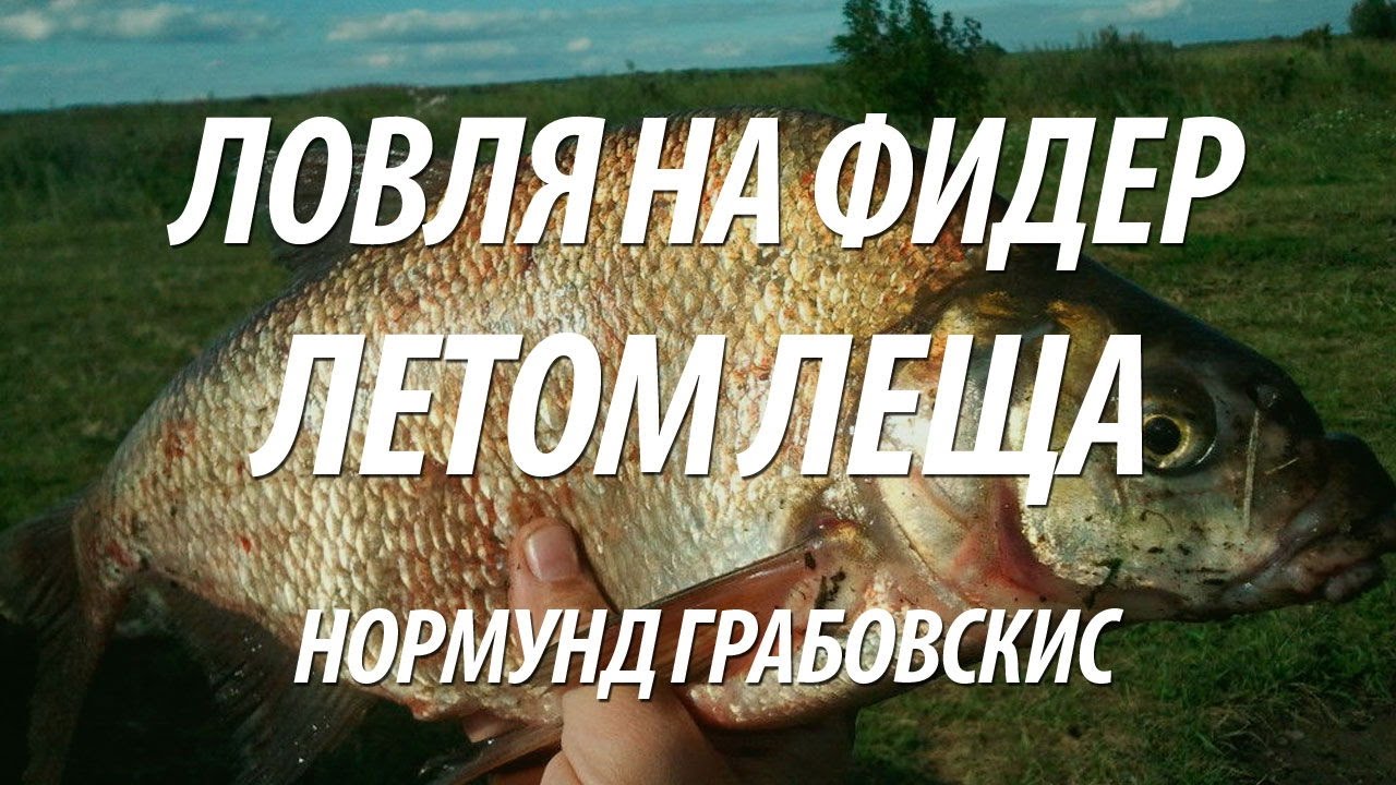 лещ на фидер видео грабовскис лещ на фидер видео грабовскис