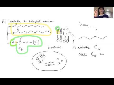 Membrane transport I - Membrane biochemistry
