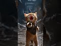 Cat Knight Saves Village From Evil Cat Warrior Catshorts Cat Knight Saves Village From Evil Cat Warrior Catshorts