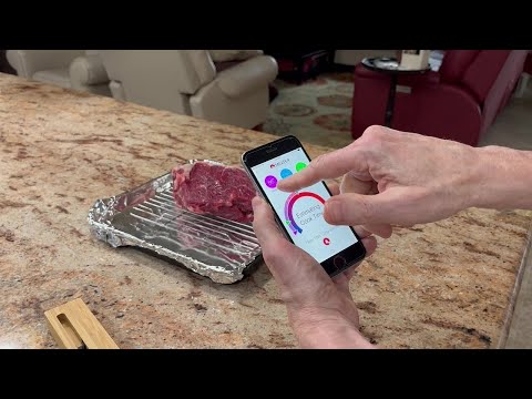 MEATER Plus: Wireless Smart Meat Thermometer