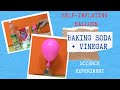 SELF-INFLATING BALLOON | BAKING SODA AND VINEGAR |
