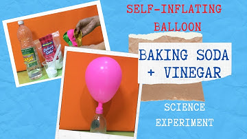 SELF-INFLATING BALLOON | BAKING SODA AND VINEGAR |