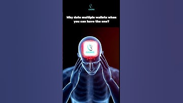 Why date multiple wallets when you can have the one?