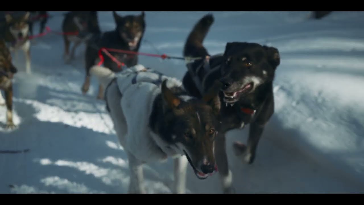 ZHU - THE CALLING adlı videoyu YouTube'da izle ZHU - THE CALLING adlı videoyu YouTube'da izle