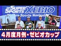 2019年 4月度月例・ゼビオカップ（ホンマ P-03 解説あり）／糸井の森パークゴルフ