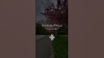 ألم يروا أنا جعلنا الليل ليسكنوا فيه والنهار مبصرا   سورة النمل الآية 86 – ياسر الدوسري 🤍🎧