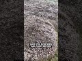 What the hail is 'hail flow'?