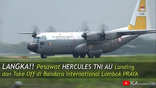 LANGKA!! Pesawat HERCULES TNI ANGKATAN UDARA Landing dan Take Off di Bandara InT Lombok PRAYA