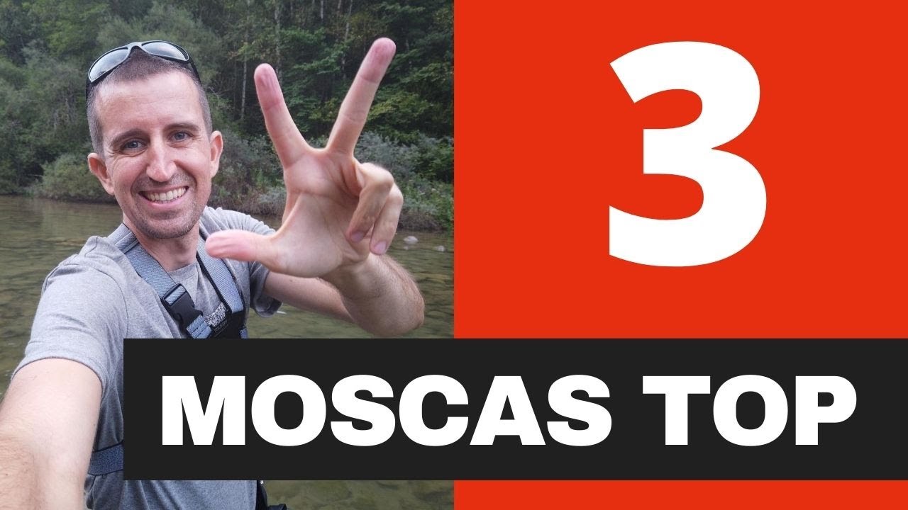3 Moscas SECAS【SECRETAS 🤐 】¡ Test Montajes TOP para pescar truchas!