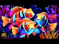 The Best Relaxation Aquarium in 4K and Ultimate Underwater Serenity for Deep Relaxation