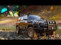 Realistic 4x4 Off-Road Simulator: Forza Horizon 6 (Steering Wheel POV) 4K