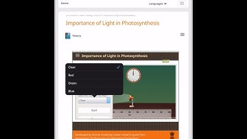 Photosynthesis’s virtual lab