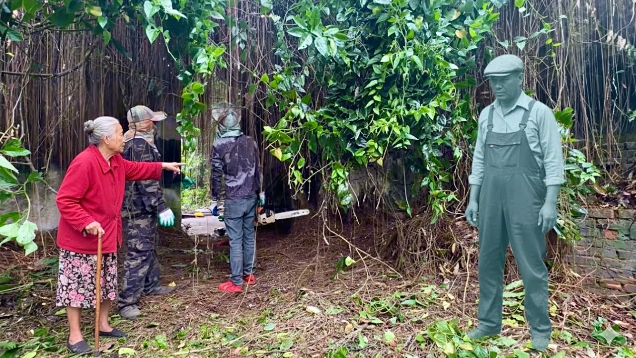 Мать живёт одна в доме с привидениями, крыша которого покрыта корнями деревьев | Удовлетворяющее