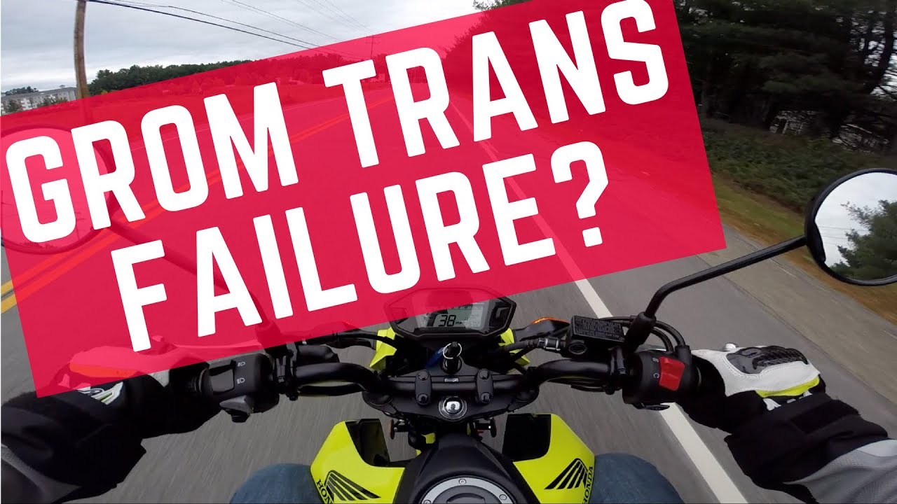 honda grom transmission