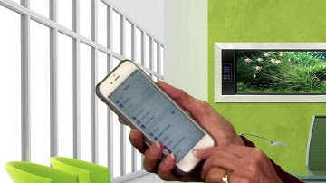 iOS Tip!  How to create keyboard shortcuts on your iPhone. Customize Predictive Text.