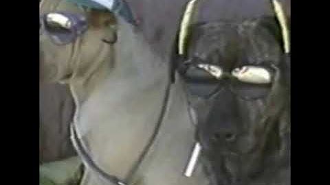 Matthew Franks - Stay Shinin