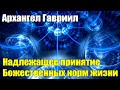 Поток планетарного сознания претерпевает значительные изменения#Эра Возрождения