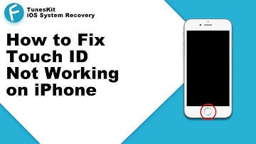 How to Fix Touch ID Not Working on iPhone