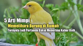 5 Arti Mimpi Memelihara Burung di Rumah, Ternyata Jadi Pertanda Bakal Menerima Kabar Baik