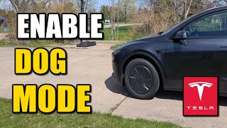 How To Enable Dog Mode On Tesla Vehicle Leave On Climate Control When Away - Easy Tutorial