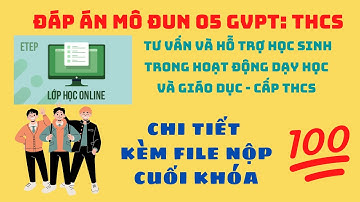 Đáp án mô đun 5 THCS đầy đủ nhất | Kèm File sản phẩm cuối khóa