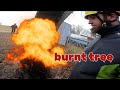 TREE WORK, Burnt Trees & Rigging