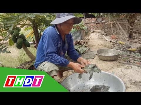 Tân Hồng, Đồng Tháp: Hiệu quả mô hình nuôi ba ba
