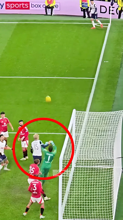 손흥민 코너킥골이 오심이라는 맨유팬들