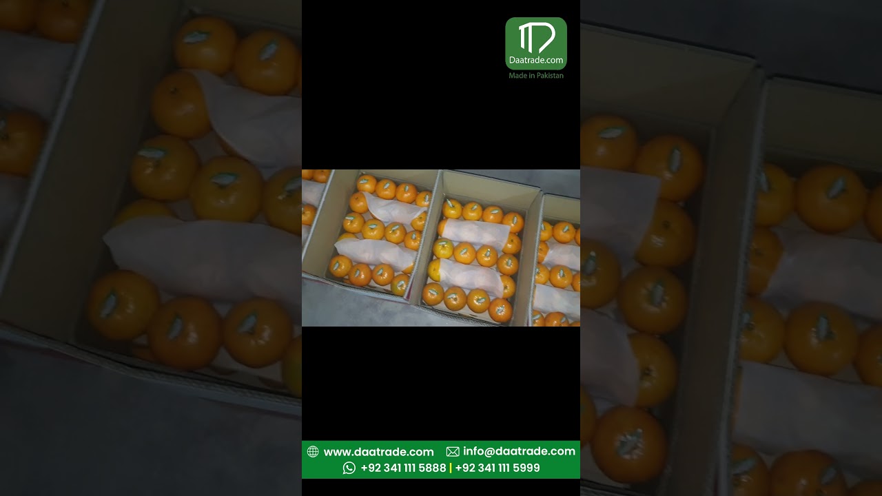 Mandarin Orange Export From Pakistan to Usa | Custom Packaging | Imports and Exports |  