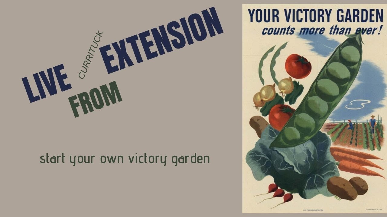 Start your very own Victory Garden YouTube