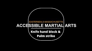Lesson 12 -Online Easterseals Accessible Martial Arts-  Knife hand block & Palm strike