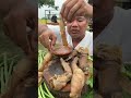 Steamed beef penis
