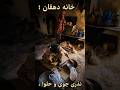 جمع آوری آراد و روغن از خانه دهقانان