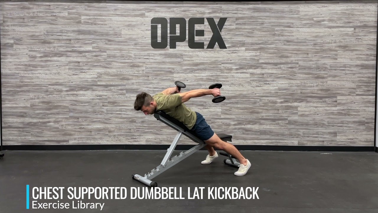 Chest Supported Dumbbell Lat Kickback YouTube