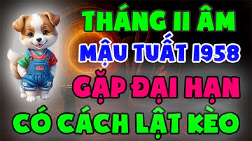 Mậu Tuất 1958 Gặp Đại Hạn Tháng 11 Âm 2025. KHÔNG LO, CÓ CÁCH LẬT KÈO