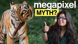 Megapixels Are Overrated. Here's Why!