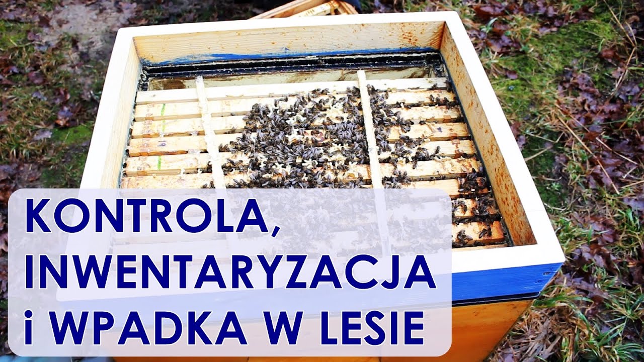 #55 Kontrola, inwentaryzacja i wpadka w lesie