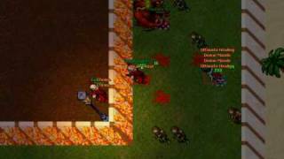 pet demon unline.org