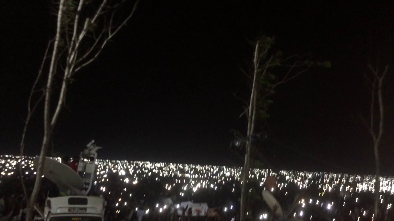 GooseBumps Movements of Jallikattu Protest at Marina
