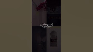 ما تيسر من #سورة_العنكبوت بصوت #القارئ_عبدالرحمن_مسعد #أجر_لي_ولكم#اكتب_شي_تؤجر_عليه#تلاوة_هادئة
